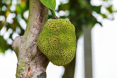 科幻恐怖《活体脑细胞》Steam新史低 5.4元即可入手